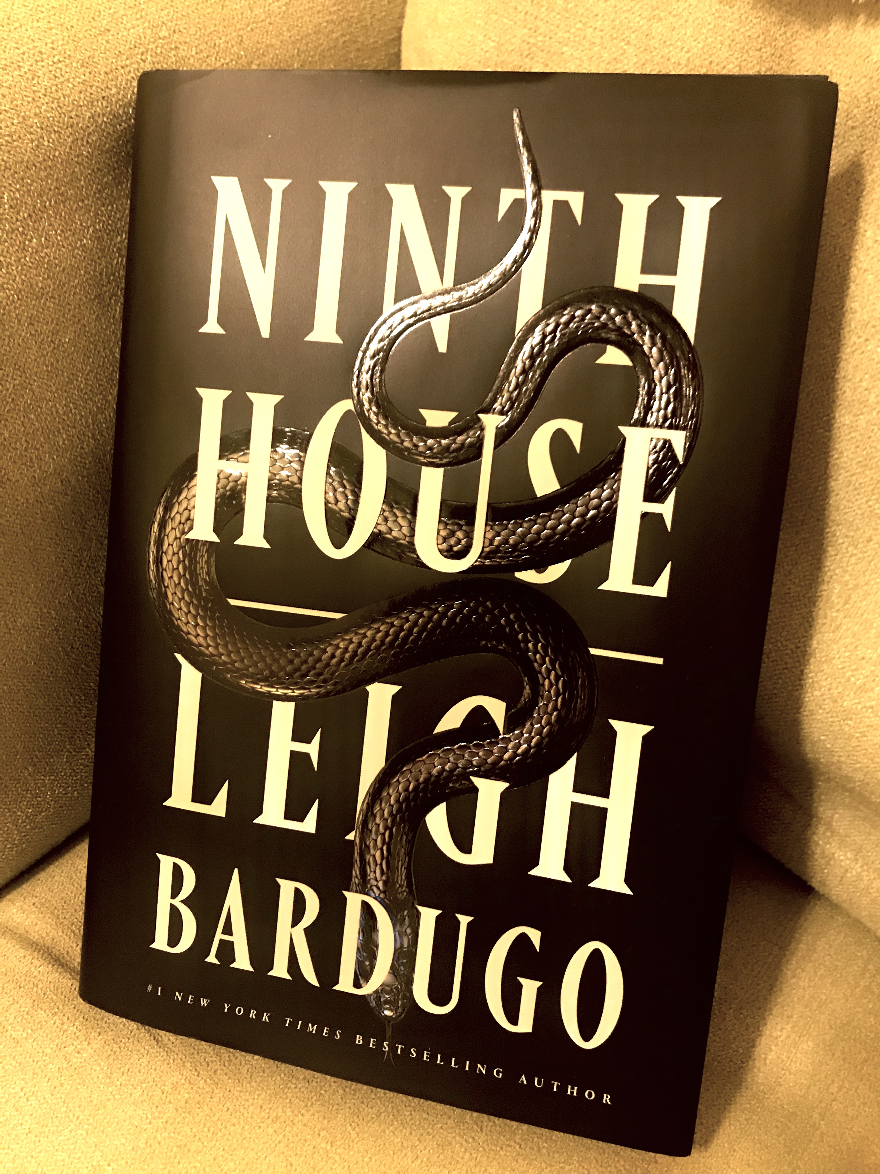 book review ninth house